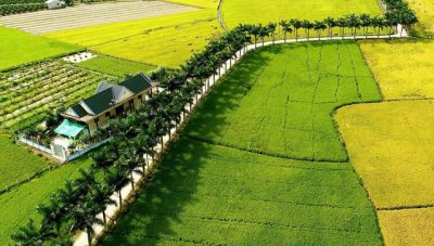 Giá thuê xe hợp đồng du lịch 7 chỗ đi Mộc Hóa – Long An