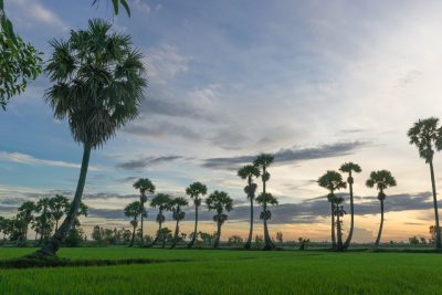 Giá thuê xe hợp đồng du lịch 7 chỗ đi Tịnh Biên – An Giang