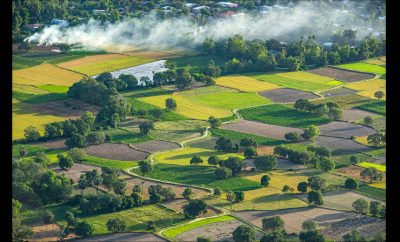 Giá thuê xe hợp đồng du lịch 7 chỗ đi Thoại Sơn – An Giang