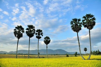 Giá thuê xe hợp đồng du lịch 7 chỗ đi An Giang