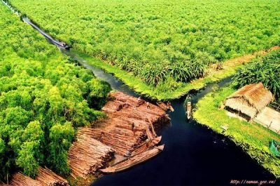 Giá thuê xe hợp đồng du lịch 7 chỗ đi Phú Tân – Cà Mau