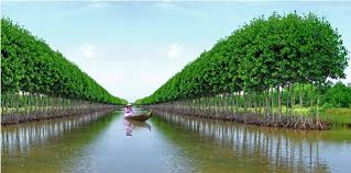 Giá thuê xe hợp đồng du lịch 7 chỗ đi Thới Bình – Cà Mau