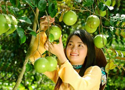 Giá thuê xe 7 chỗ đi Bến Tre