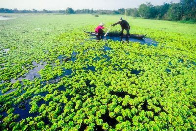 Giá thuê xe hợp đồng du lịch 7 chỗ đi U Minh – Cà Mau