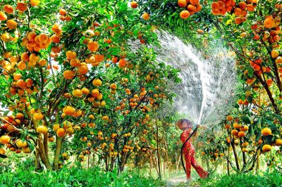 Giá thuê xe hợp đồng du lịch 7 chỗ đi Hồng Ngự – Đồng Tháp