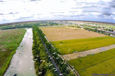 Giá thuê xe hợp đồng du lịch 7 chỗ đi Tân Hưng – Long An