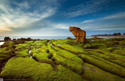 Thuê xe đi Bình Thuận