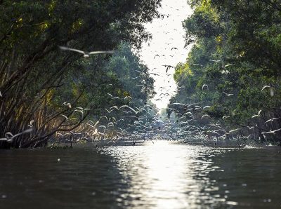 Thuê xe đi Đồng Tháp