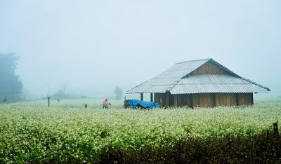Thuê xe đi Sơn La